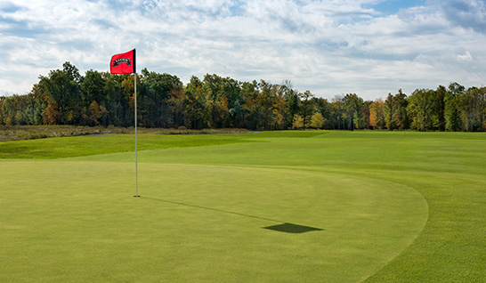 Chippawa 9-hole - Image of the Putting Area in the afternoon