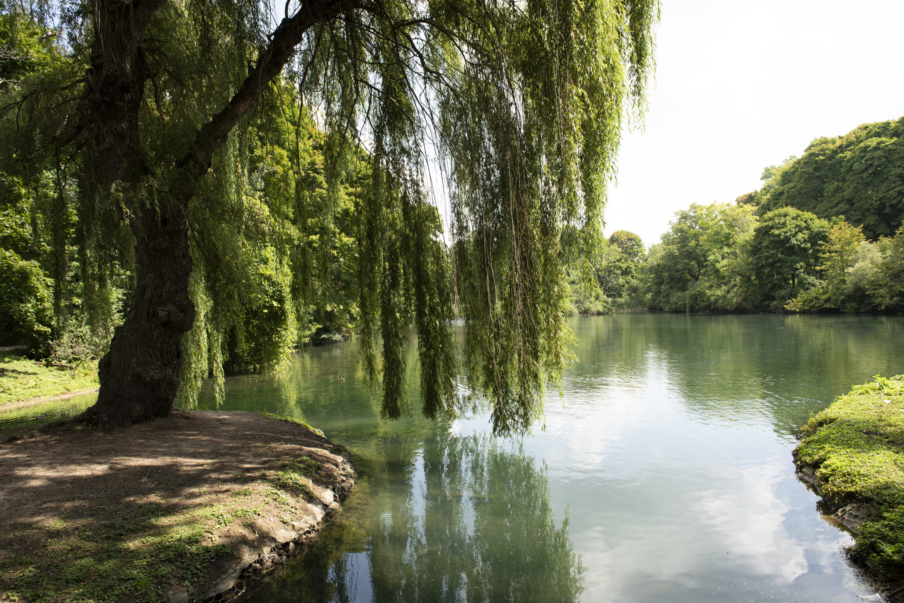 Niagara Parks to Close Sections of Dufferin Islands to Complete Electrical Updates