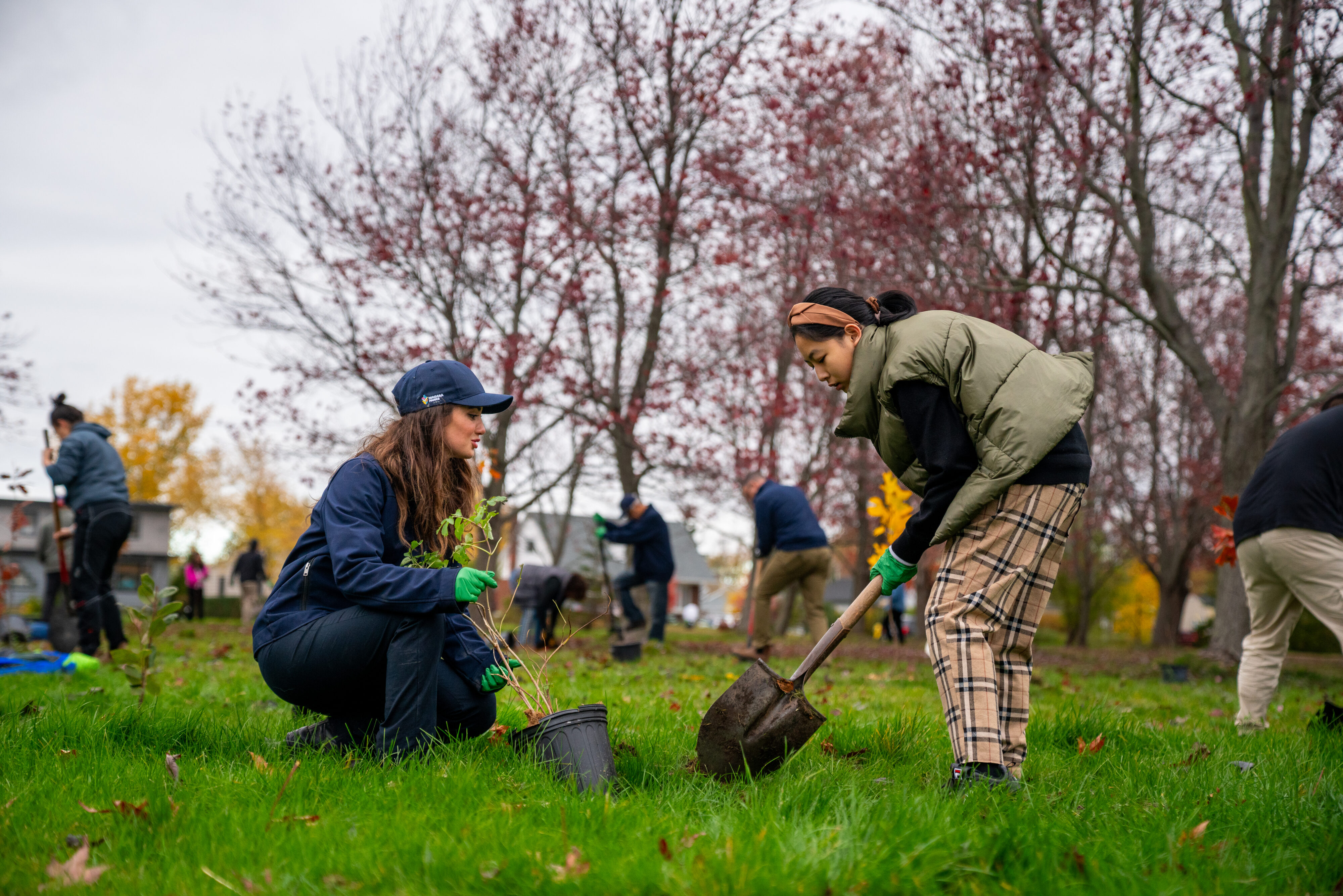 Niagara Parks Invites Public to Join in Community Tree Planting Day at Old Fort Erie